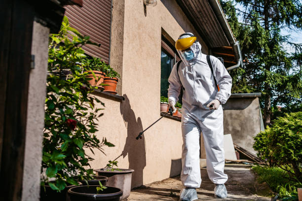 Best Pest Prevention Services  in Paulden, AZ