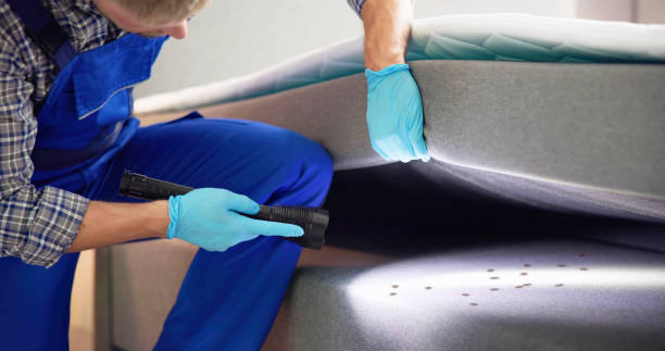 Paulden, AZ Pest Control Company